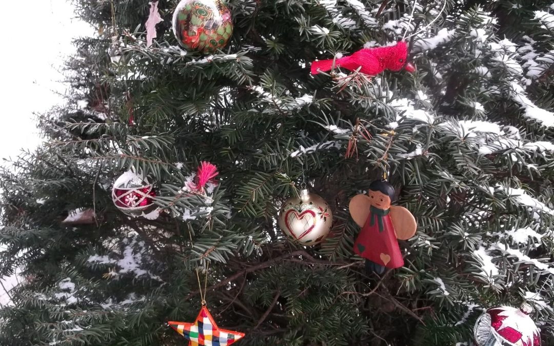 Merry! Merry! Achoo!  Christmas Tree Syndrome