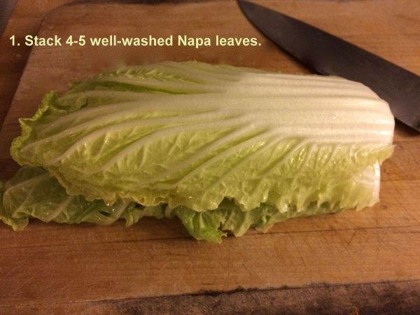 NE_Napa Cabbage1