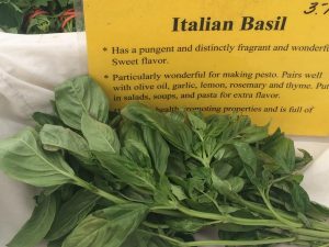 Italian Basil