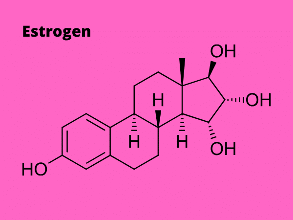 Understanding Estrogen: How It Affects Breast Health