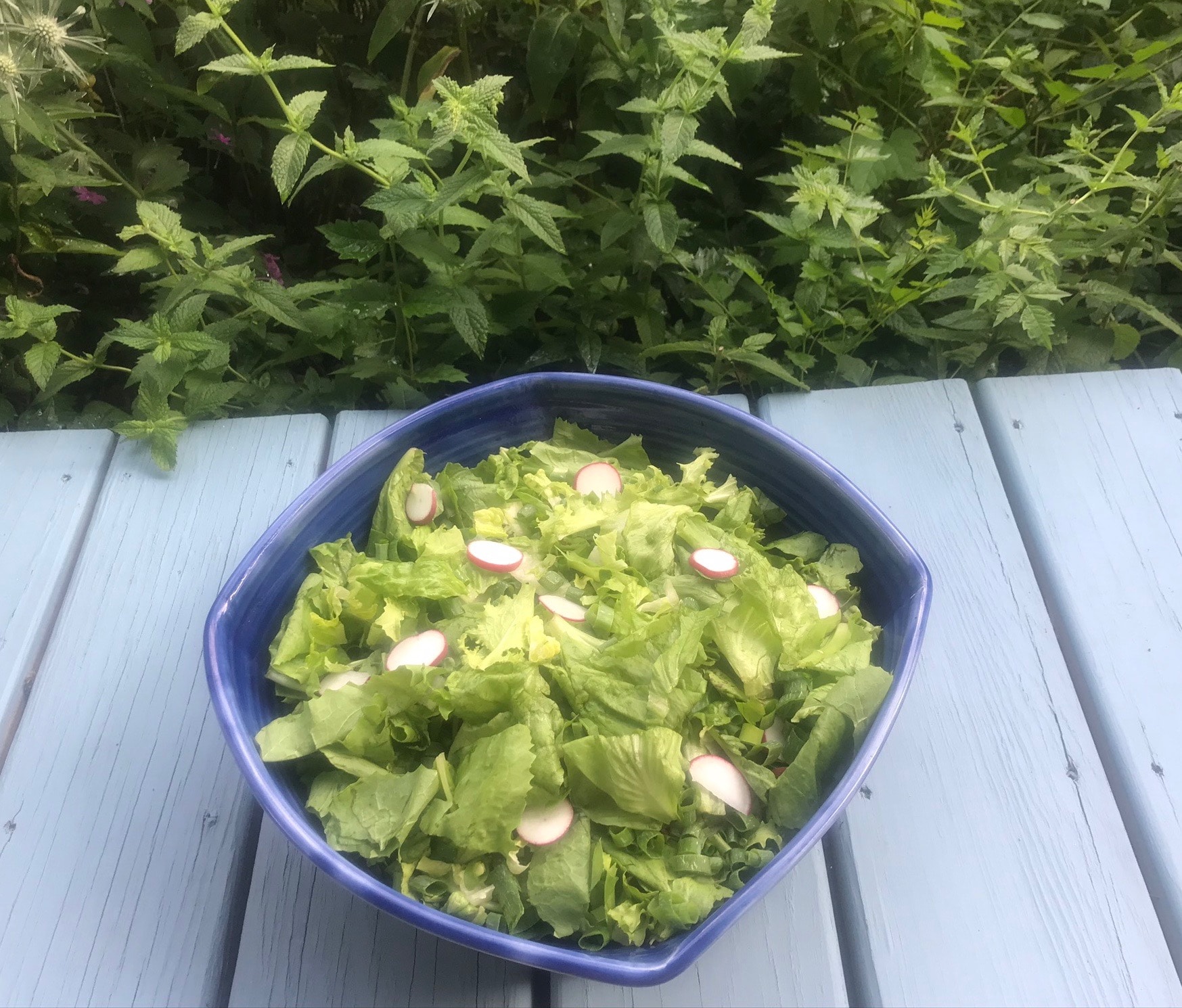 Chicory & Romaine salad