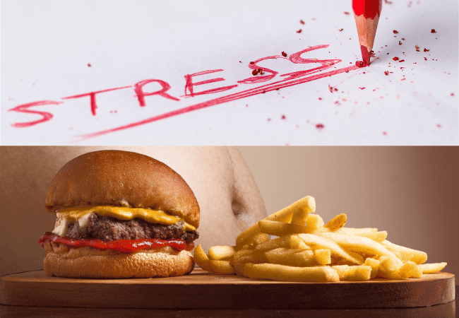 Understanding the Stress Response and Weight Gain